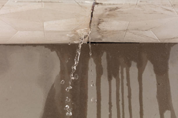 Professional Water Damage Inspection technician working in Good Hope, CA